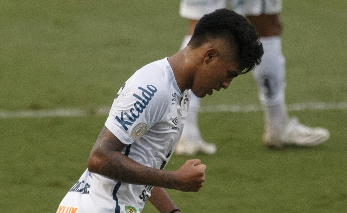 Bustos reformula elenco e decide ‘rebaixar’ Ivonei e mais dois para o elenco sub-20 do Santos - Bolavip Brasil