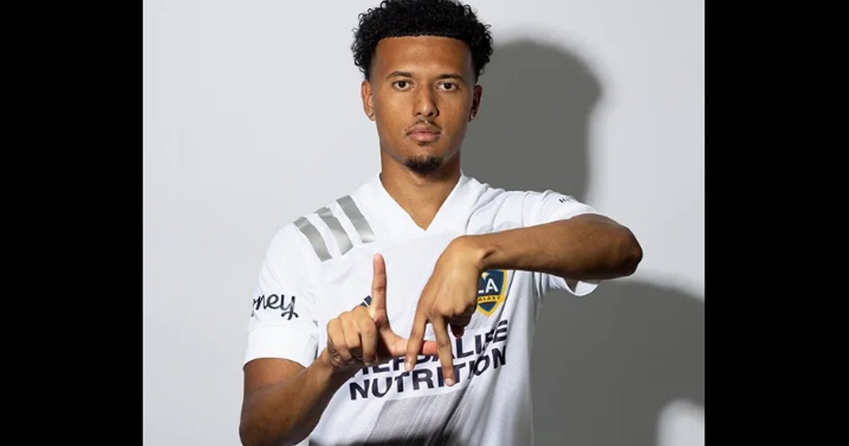 Jornalista especializado em scouting desaprova contratação de Hämäläinen pelo Botafogo: ‘A princípio, não - FogãoNET