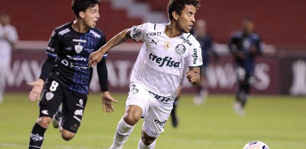 Palmeiras: Marcos Rocha agradece esposa de Abel Ferreira por renovação - UOL Esporte