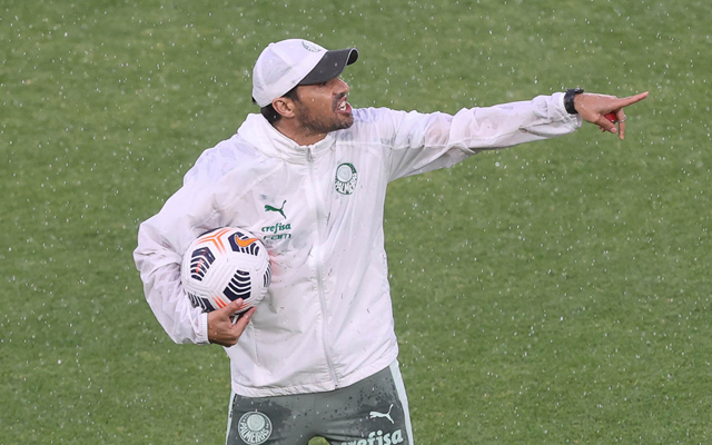 Treinador do Palmeiras cita Andreas Pereira e compara intensidade de jogo entre Brasil e Europa - Coluna do Fla